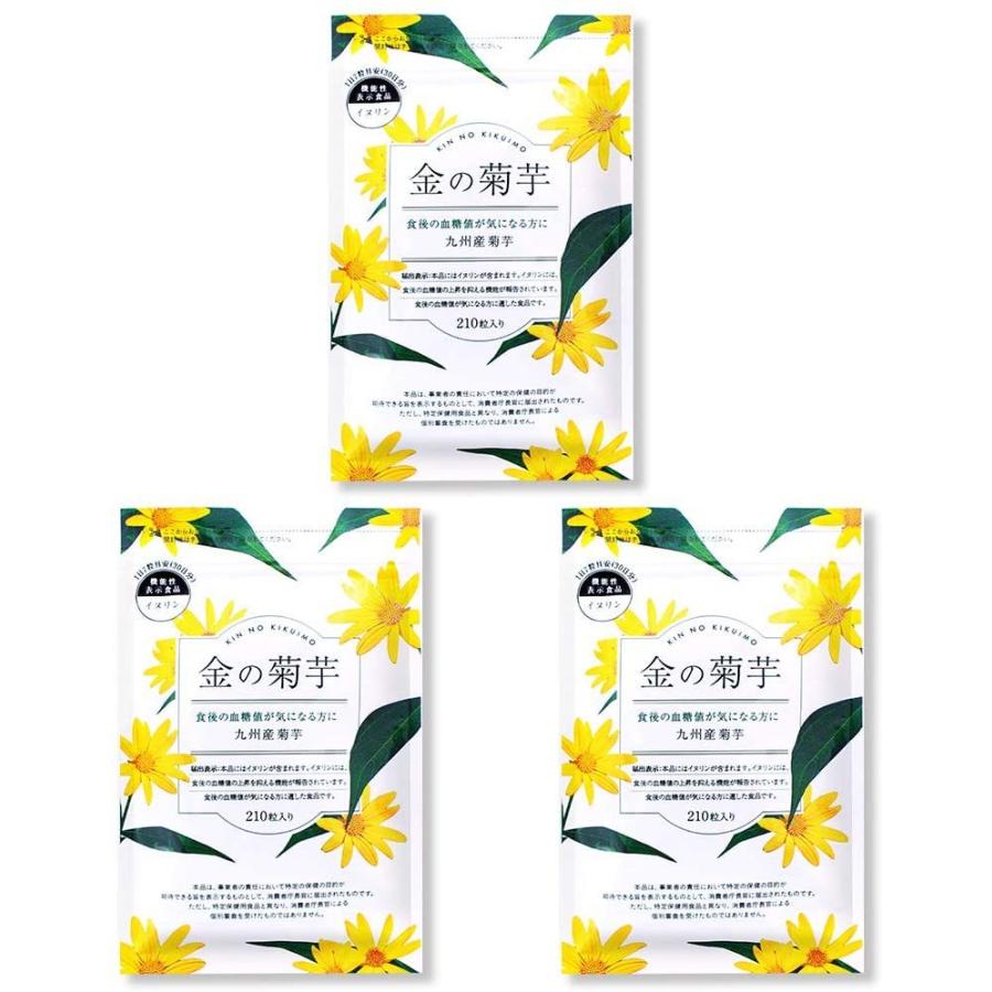 菊芋イヌリン粒 180錠 2個セット メール便送料無料 くすりの勉強堂