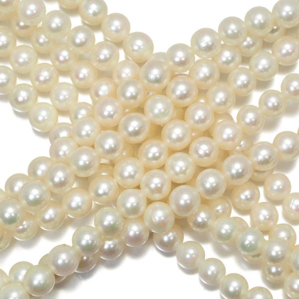 TASAKI（タサキ） ネックレス ベビーパール アコヤ真珠 3.5-4.0mm 5連 