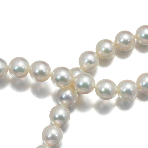 ゆき様 K14WG ミキモト真珠 あこや真珠 パールネックレス 径7.0mm MIKIMOTO - ミキモト ネックレス パール 真珠 7.0-7.4mm K14WG
