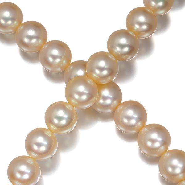 MIKIMOTO（ミキモト） ネックレス ゴールデンパール 真珠 7.0-7.5mm