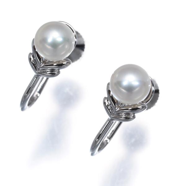 MIKIMOTO（ミキモト） イヤリング パール 真珠 5.5mm シルバー BLJ 