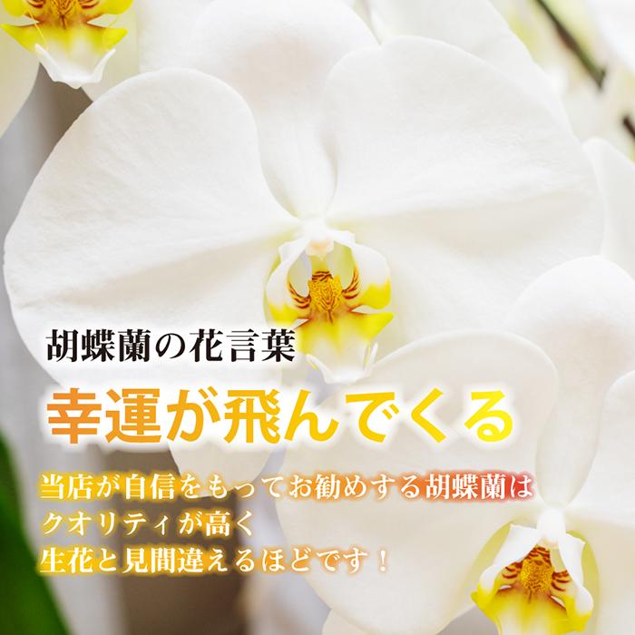 お供え 胡蝶蘭 造花 5本立 お盆 初盆 お彼岸 仏壇 光触媒 彼岸花紫