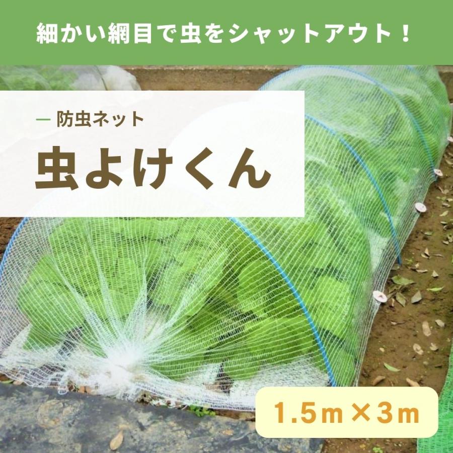 日本製　虫よけネット　虫よけくん　1.5ｍ×3ｍ　超軽量　防虫　キャベツ　白菜　レタス　水やりO.K.　超軽量　設置簡単　家庭菜園　プランター栽培　減農薬栽培 | 