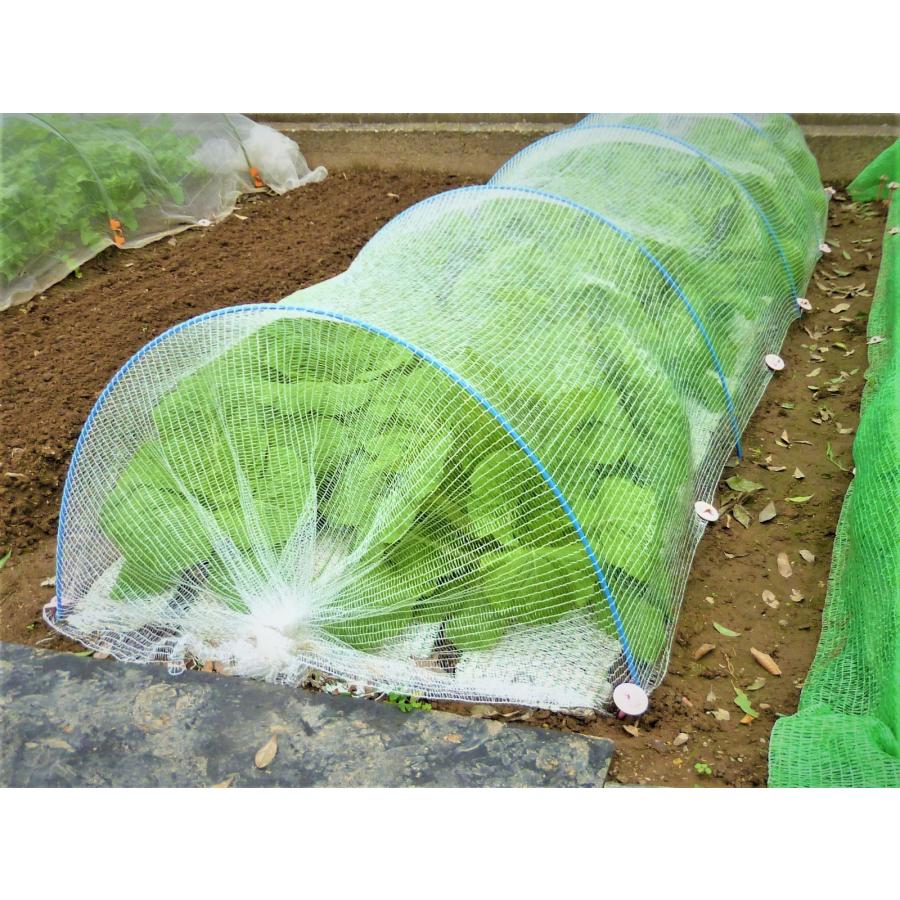 虫よけくん　1.5ｍ×10ｍ　超軽量　虫よけ　防虫ネット　キャベツ　白菜　レタス　透光性　透水性　細かい編み目で効果的に虫をブロックして食害を防ぎます |  | 01