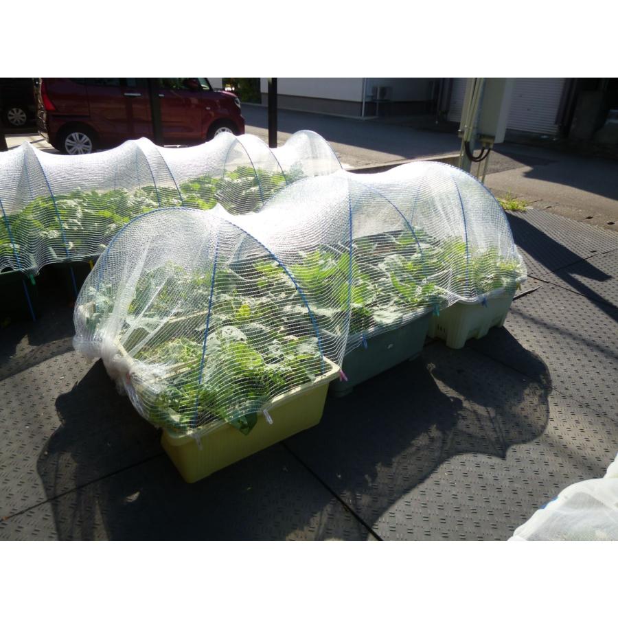 虫よけくん　1.5ｍ×10ｍ　超軽量　虫よけ　防虫ネット　キャベツ　白菜　レタス　透光性　透水性　細かい編み目で効果的に虫をブロックして食害を防ぎます |  | 03