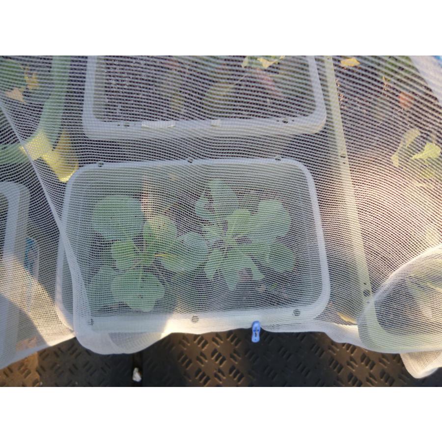 虫よけくん　1.5ｍ×10ｍ　超軽量　虫よけ　防虫ネット　キャベツ　白菜　レタス　透光性　透水性　細かい編み目で効果的に虫をブロックして食害を防ぎます |  | 05