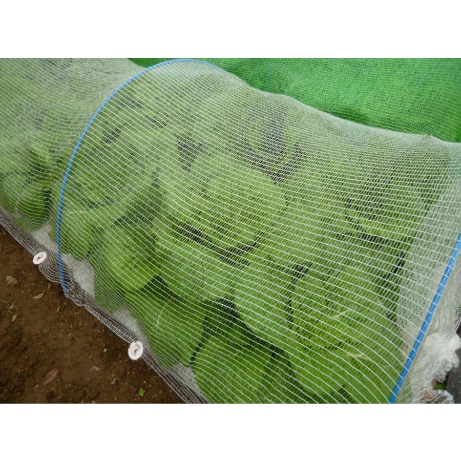 虫よけくん　1.5ｍ×10ｍ　超軽量　虫よけ　防虫ネット　キャベツ　白菜　レタス　透光性　透水性　細かい編み目で効果的に虫をブロックして食害を防ぎます |  | 06