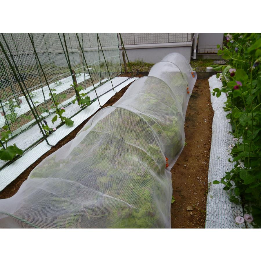 日本製　虫よけネット　虫よけメッシュ　1.5×5ｍ　防虫　透光　透水　プランター栽培　園芸　ガーデニング　メッシュ素材　極細目編み　家庭菜園　減農薬栽培 |  | 01