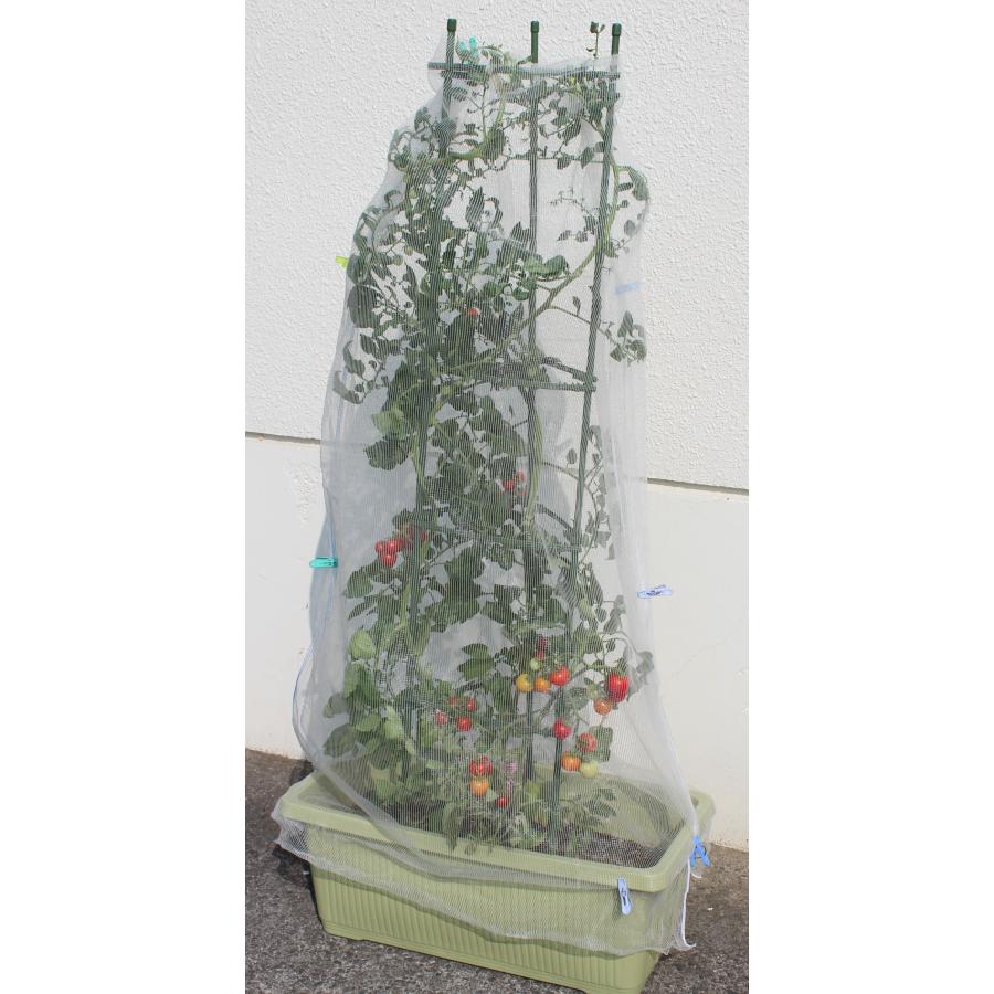 日本製　虫よけネット　虫よけメッシュ 3枚セット　70cm〜100cm×1.5m　防虫　プランター　メッシュ素材　極細目編み　水やりO.K.　家庭菜園　減農薬栽培　 |  | 05