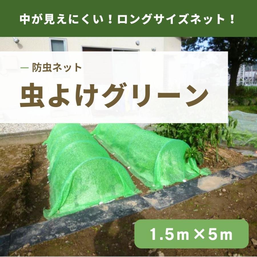 虫よけグリーン　1.5×5ｍ　虫よけ　プランター栽培に　防虫　編み目が細かい　オールシーズン　中が見えにくい緑の防虫ネット　コスパの良いポリエチレンネット | 