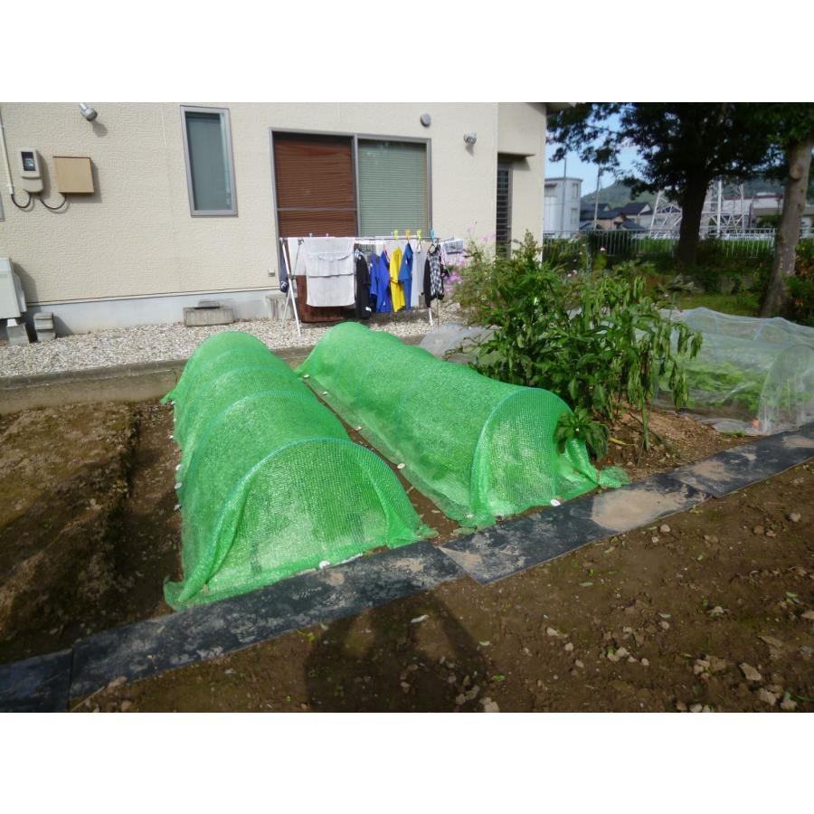 虫よけグリーン　1.5×5ｍ　虫よけ　プランター栽培に　防虫　編み目が細かい　オールシーズン　中が見えにくい緑の防虫ネット　コスパの良いポリエチレンネット |  | 01