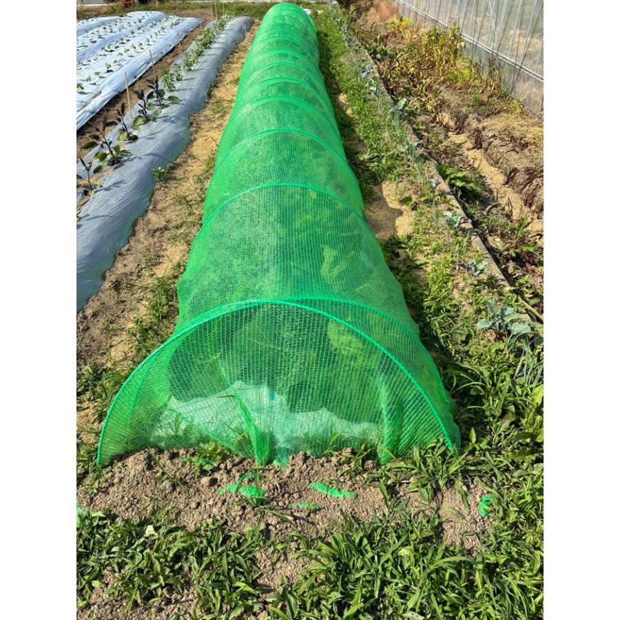 虫よけグリーン　1.5×5ｍ　虫よけ　プランター栽培に　防虫　編み目が細かい　オールシーズン　中が見えにくい緑の防虫ネット　コスパの良いポリエチレンネット |  | 04