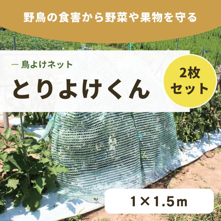 とりよけくん　1×1.5m　2枚セット　とっても軽い防鳥ネット　園芸　ガーデニング　果樹　伸縮ネット　保護カバー　プランターに最適　日本製 | 