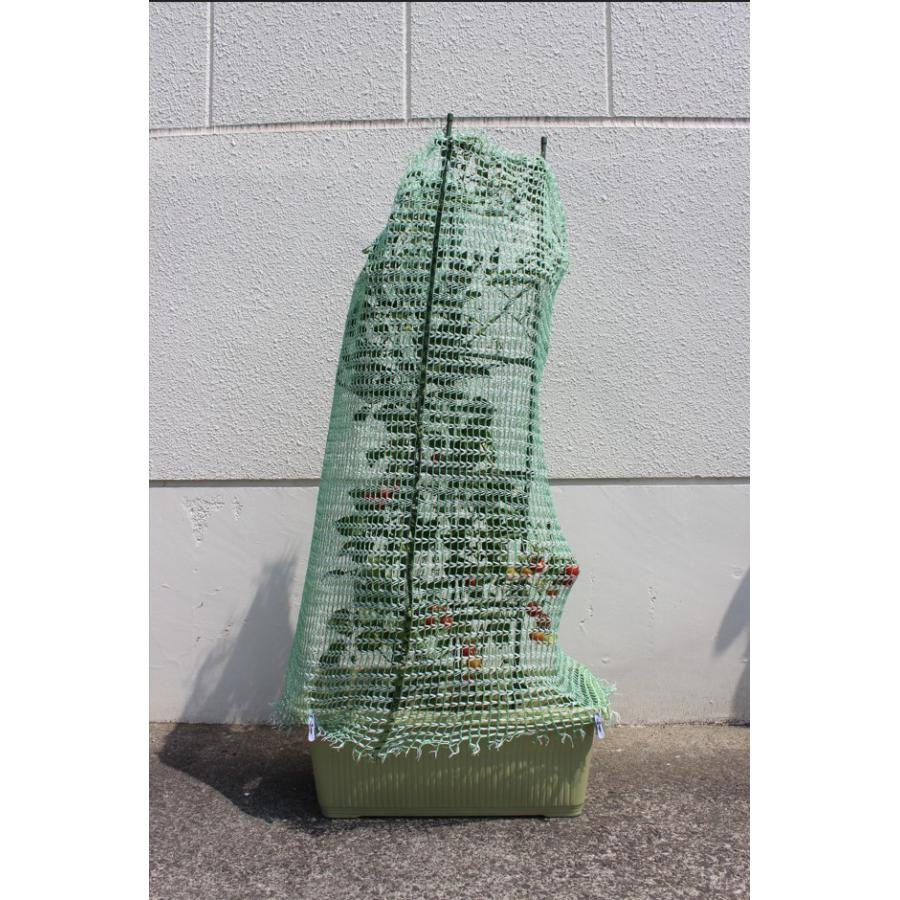 とりよけくん　1×1.5m　2枚セット　とっても軽い防鳥ネット　園芸　ガーデニング　果樹　伸縮ネット　保護カバー　プランターに最適　日本製 |  | 03