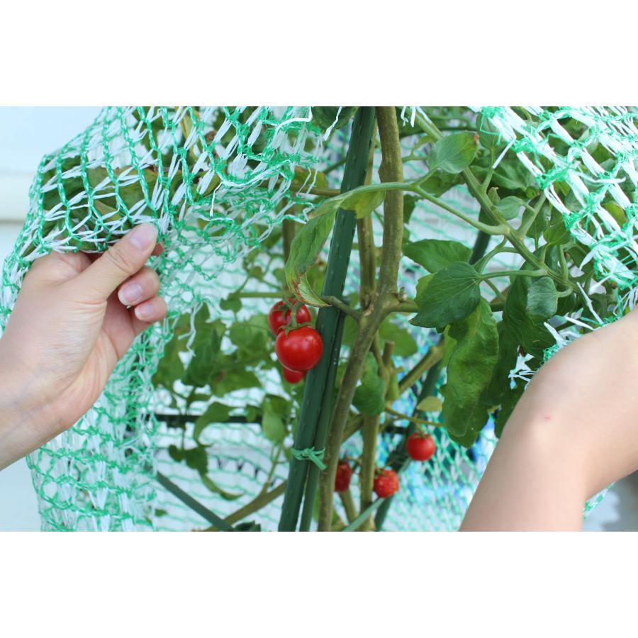 とりよけくん　1×1.5m　2枚セット　とっても軽い防鳥ネット　園芸　ガーデニング　果樹　伸縮ネット　保護カバー　プランターに最適　日本製 |  | 04