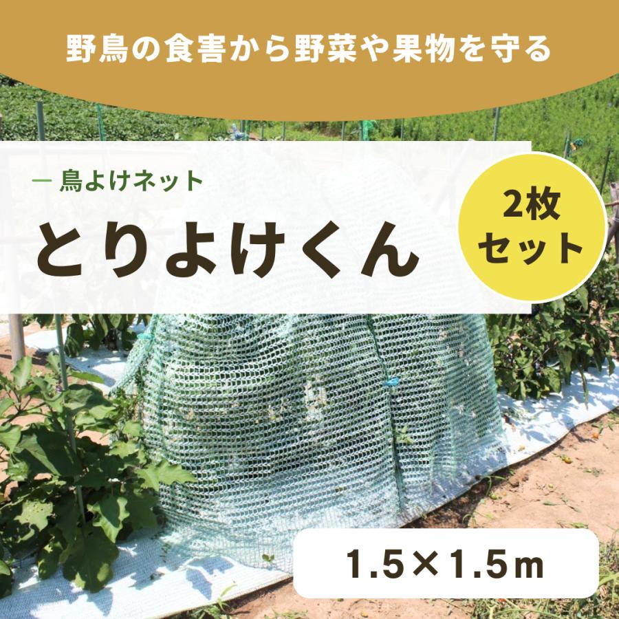 とりよけくん 1.5×1.5m　2枚セット 日本製 とっても軽い防鳥ネット　園芸　ガーデニング　果樹　伸縮ネット　保護カバー　プランターに最適 | 