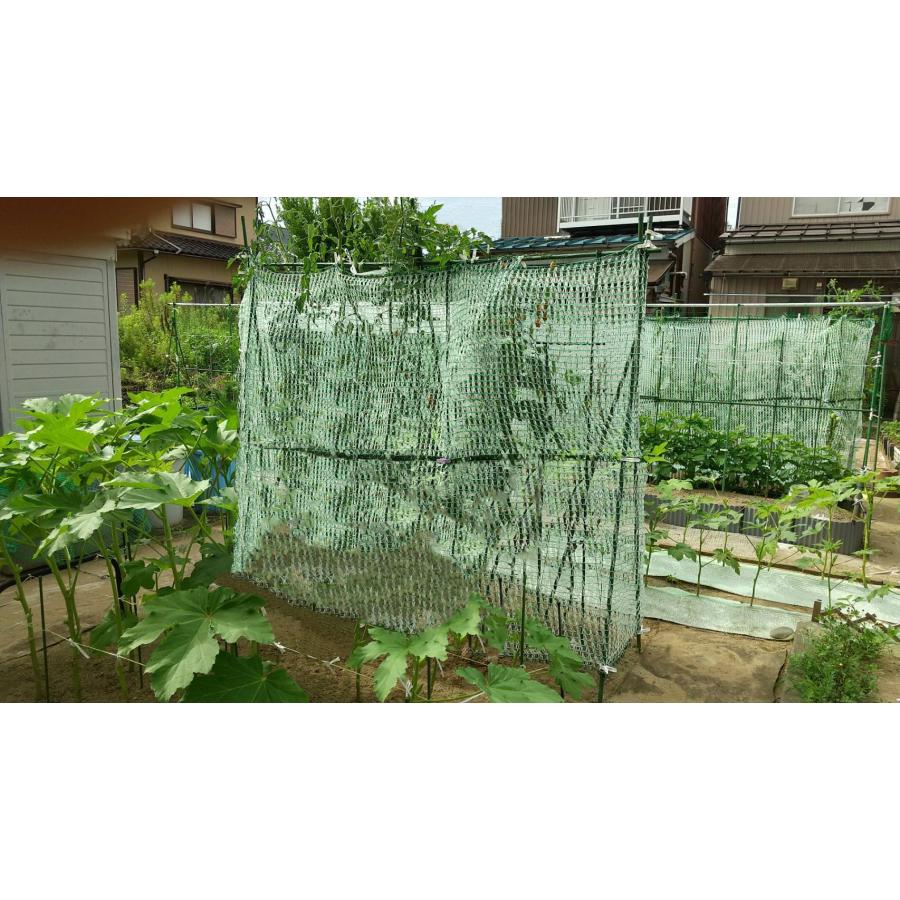 とりよけくん 1.5×1.5m　2枚セット 日本製 とっても軽い防鳥ネット　園芸　ガーデニング　果樹　伸縮ネット　保護カバー　プランターに最適 |  | 01