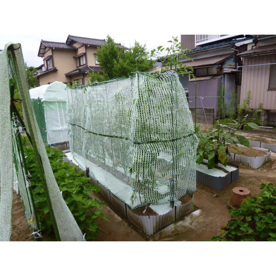 とりよけくん 1.5×1.5m　2枚セット 日本製 とっても軽い防鳥ネット　園芸　ガーデニング　果樹　伸縮ネット　保護カバー　プランターに最適 |  | 02