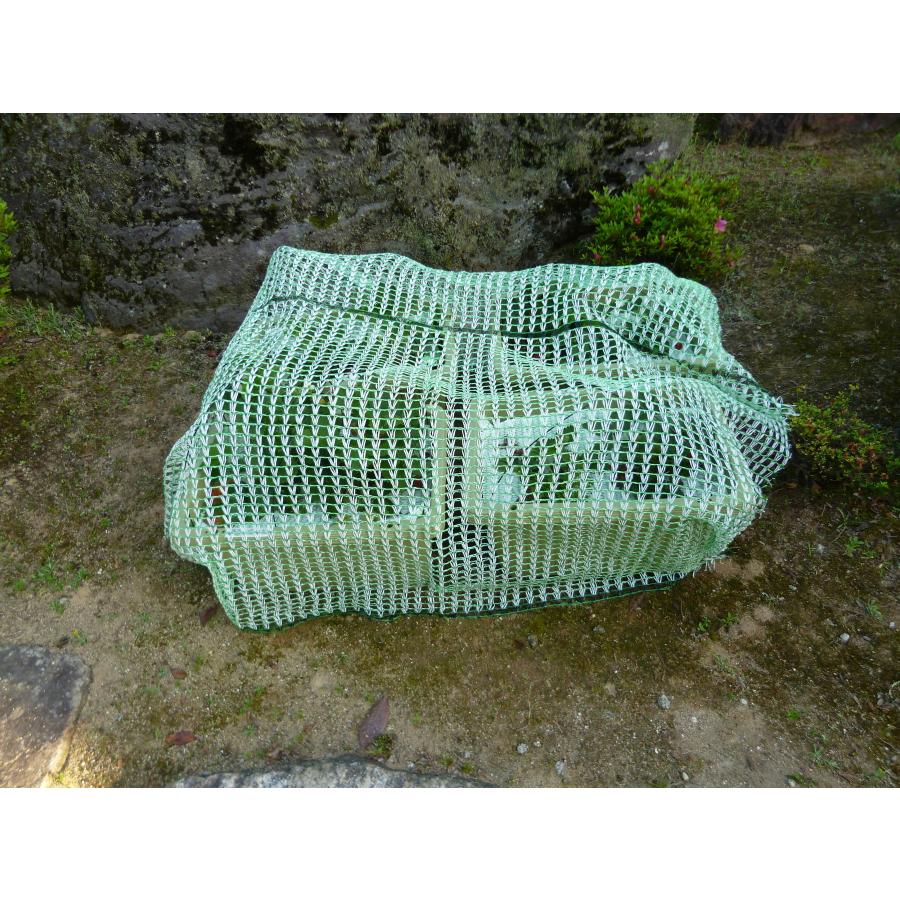 とりよけくん 1.5×1.5m　2枚セット 日本製 とっても軽い防鳥ネット　園芸　ガーデニング　果樹　伸縮ネット　保護カバー　プランターに最適 |  | 04