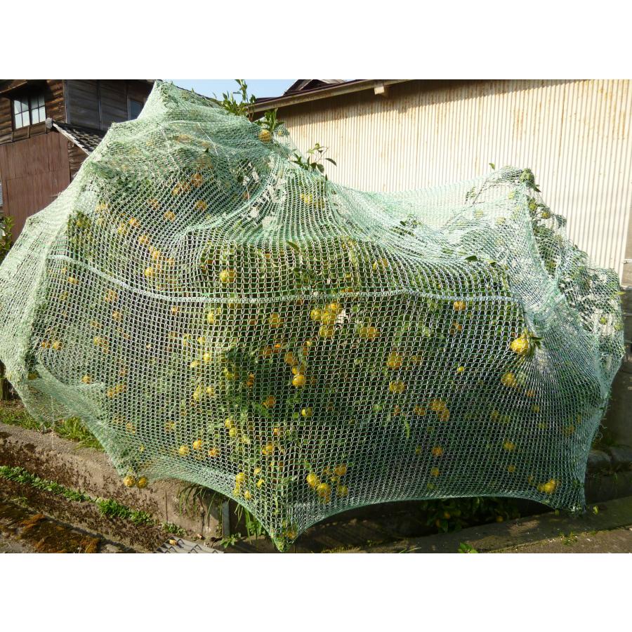 ふわっと鳥よけネット　2×2m　日本製　軽量な防鳥ネット　ベランダ　鳥獣害防止　ゴミ散乱防止　果樹栽培　鳥よけ　虫よけ　べたがけ　トンネル |  | 01