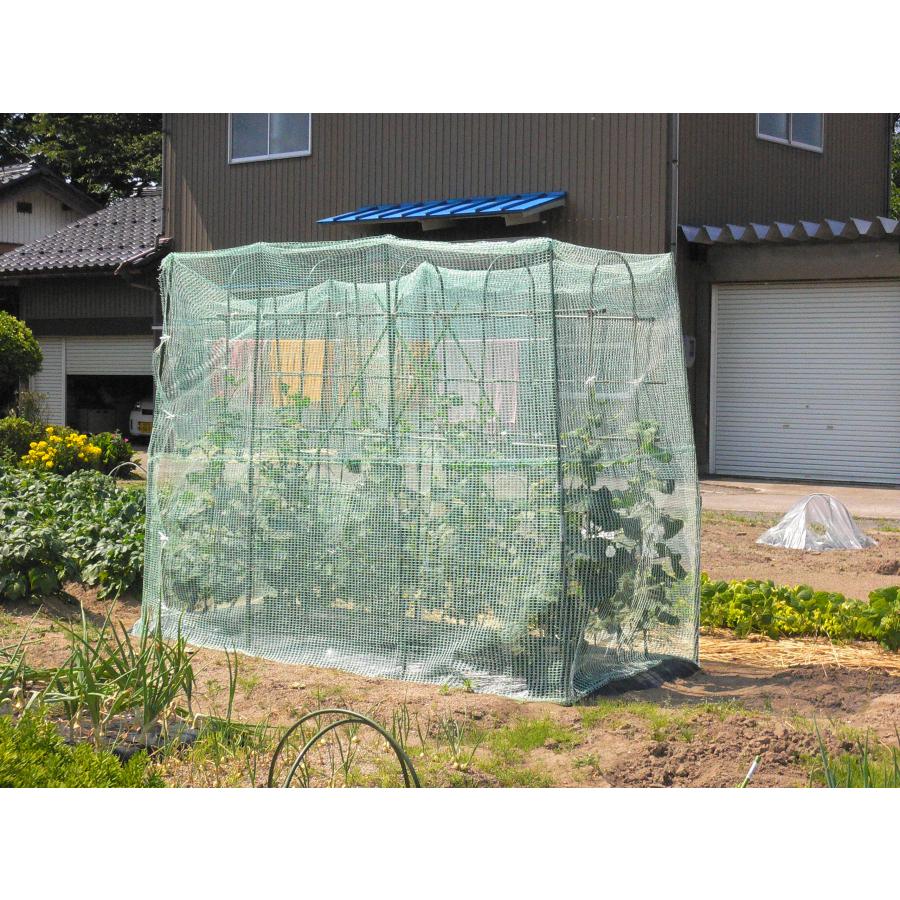 ふわっと鳥よけネット　2×2m　日本製　軽量な防鳥ネット　ベランダ　鳥獣害防止　ゴミ散乱防止　果樹栽培　鳥よけ　虫よけ　べたがけ　トンネル |  | 03