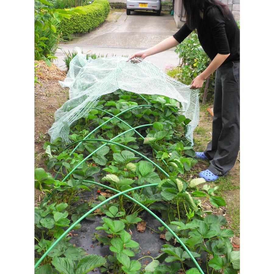 ふわっと鳥よけネット　2×2m　日本製　軽量な防鳥ネット　ベランダ　鳥獣害防止　ゴミ散乱防止　果樹栽培　鳥よけ　虫よけ　べたがけ　トンネル |  | 04