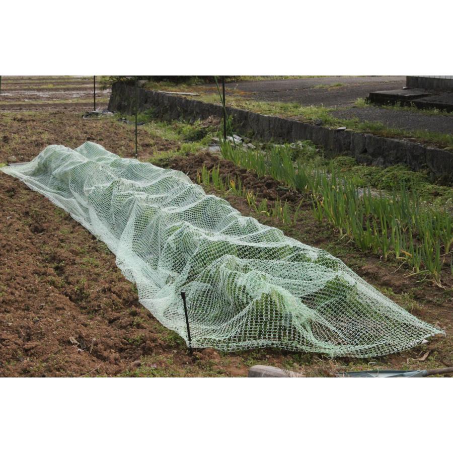 ふわっと鳥よけネット　2×2m　日本製　軽量な防鳥ネット　ベランダ　鳥獣害防止　ゴミ散乱防止　果樹栽培　鳥よけ　虫よけ　べたがけ　トンネル |  | 05
