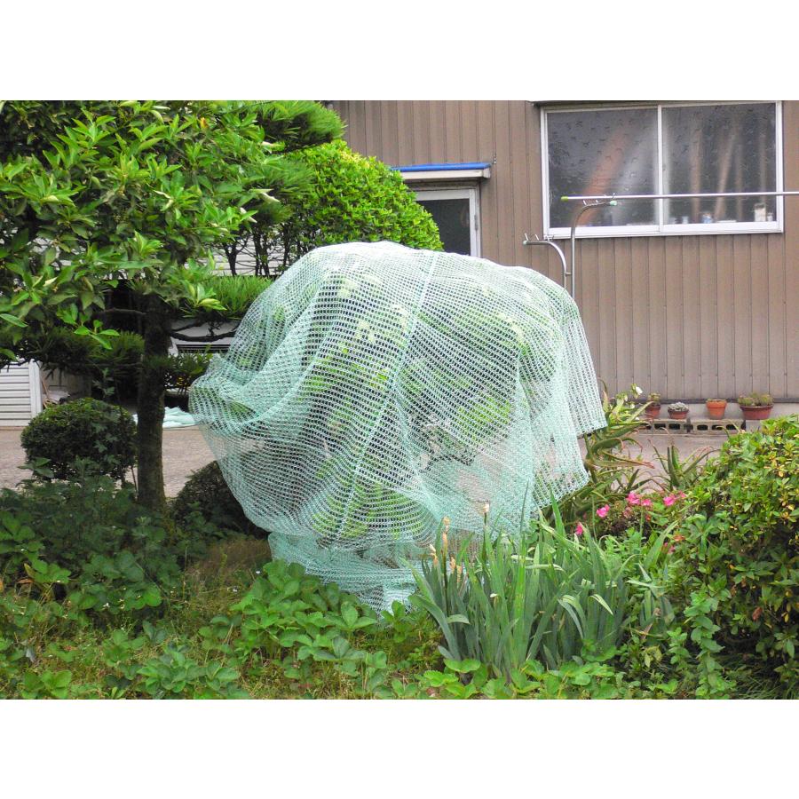 ふわっと鳥よけネット　2×2m　日本製　軽量な防鳥ネット　ベランダ　鳥獣害防止　ゴミ散乱防止　果樹栽培　鳥よけ　虫よけ　べたがけ　トンネル |  | 06