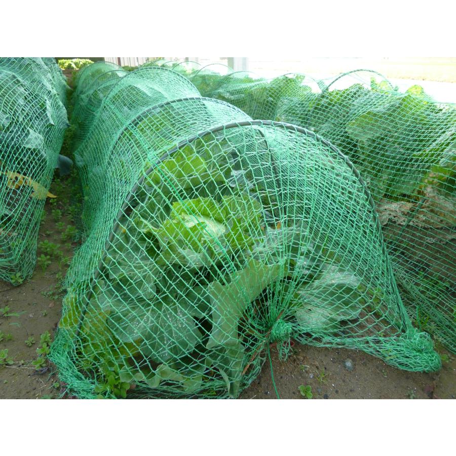 ふんわりグリーン　1.6〜2×3ｍ　日本製　超軽量の防鳥防虫ネット　食害対策ネット　プランター　園芸　農業　超軽量で伸縮性抜群の虫よけ鳥よけネット |  | 01
