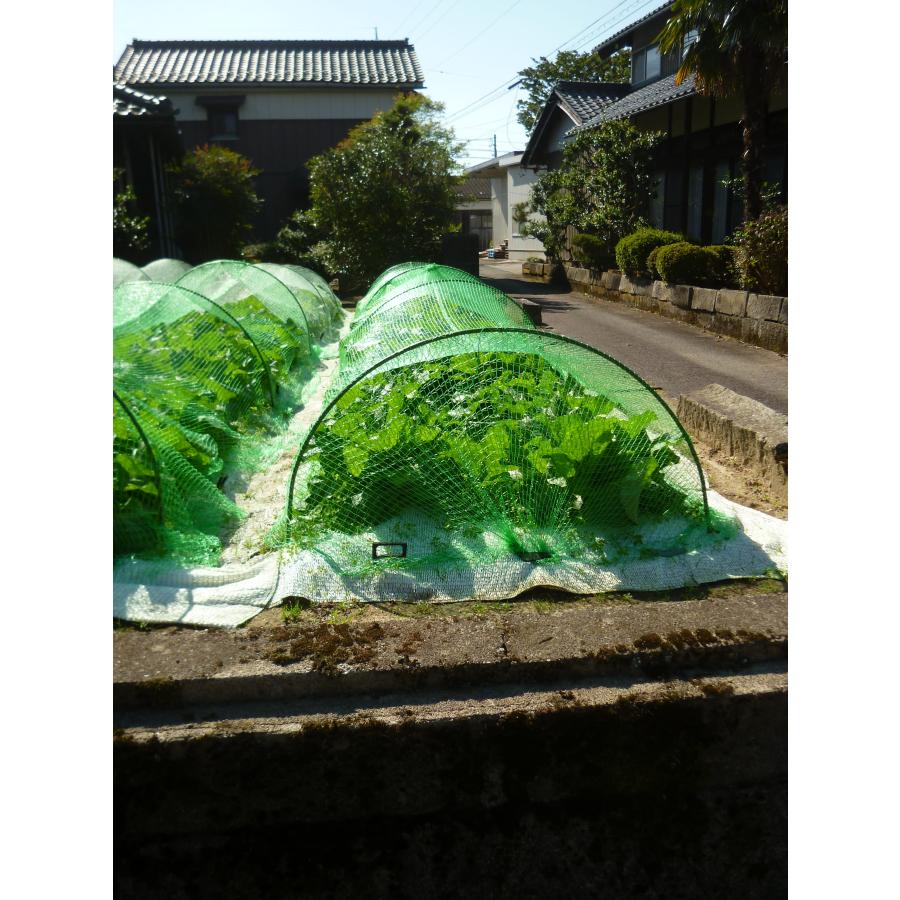 ふんわりグリーン　1.6〜2×3ｍ　日本製　超軽量の防鳥防虫ネット　食害対策ネット　プランター　園芸　農業　超軽量で伸縮性抜群の虫よけ鳥よけネット |  | 02