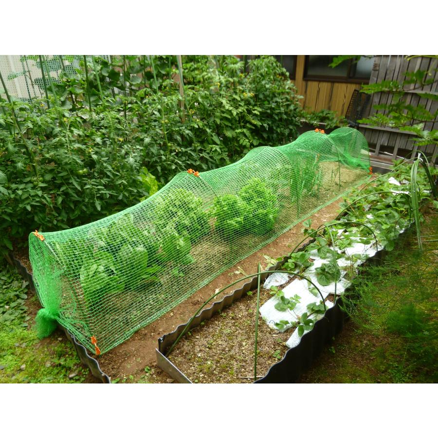 ふんわりグリーン　1.6〜2×3ｍ　日本製　超軽量の防鳥防虫ネット　食害対策ネット　プランター　園芸　農業　超軽量で伸縮性抜群の虫よけ鳥よけネット |  | 03