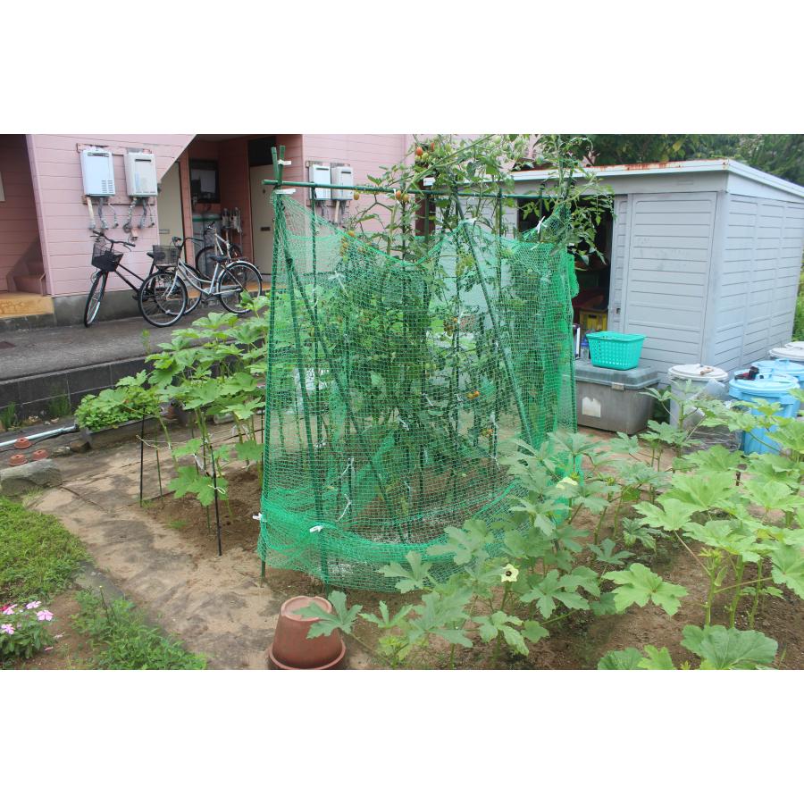 ふんわりグリーン　1.6〜2×3ｍ　日本製　超軽量の防鳥防虫ネット　食害対策ネット　プランター　園芸　農業　超軽量で伸縮性抜群の虫よけ鳥よけネット |  | 04