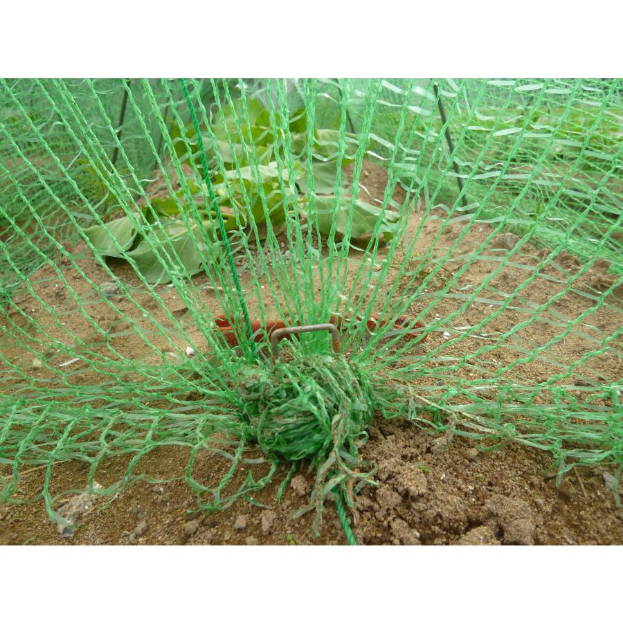 ふんわりグリーン　1.6〜2×3ｍ　日本製　超軽量の防鳥防虫ネット　食害対策ネット　プランター　園芸　農業　超軽量で伸縮性抜群の虫よけ鳥よけネット |  | 05