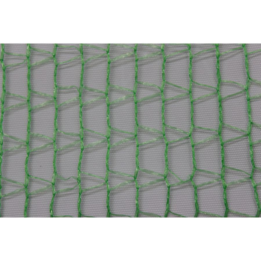 ふんわりグリーン　1.6〜2×3ｍ　日本製　超軽量の防鳥防虫ネット　食害対策ネット　プランター　園芸　農業　超軽量で伸縮性抜群の虫よけ鳥よけネット |  | 06