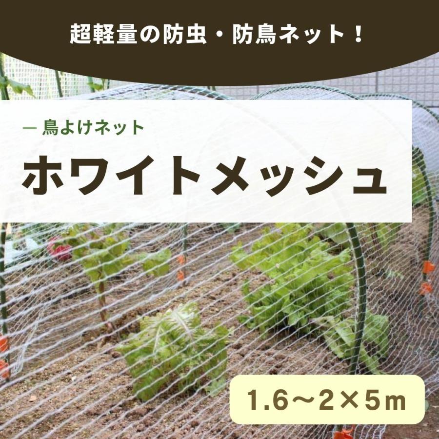 ホワイトメッシュ　1.6〜2×5ｍ　日本製　超軽量の防虫防鳥ネット　虫よけ　鳥よけ　ガーデニング　園芸　虫や鳥を寄せつけない特殊ツイスト編み | 