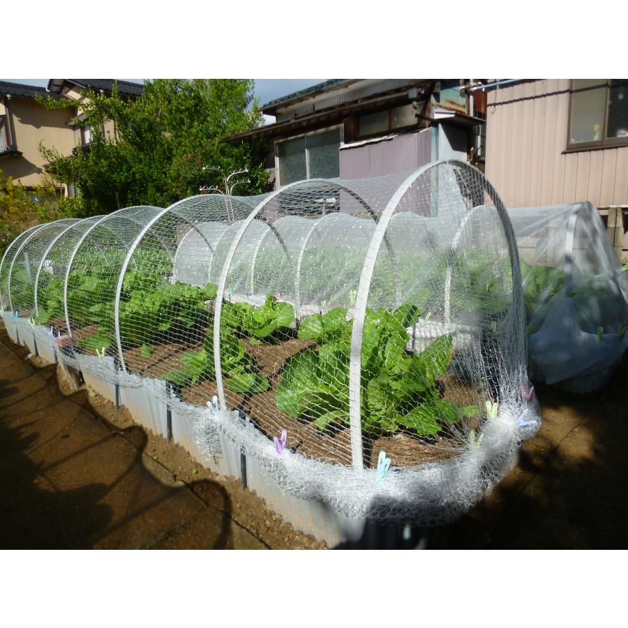 ホワイトメッシュ　1.6〜2×5ｍ　日本製　超軽量の防虫防鳥ネット　虫よけ　鳥よけ　ガーデニング　園芸　虫や鳥を寄せつけない特殊ツイスト編み |  | 02