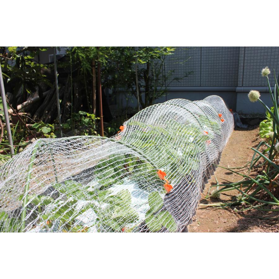 ホワイトメッシュ　1.6〜2×5ｍ　日本製　超軽量の防虫防鳥ネット　虫よけ　鳥よけ　ガーデニング　園芸　虫や鳥を寄せつけない特殊ツイスト編み |  | 03