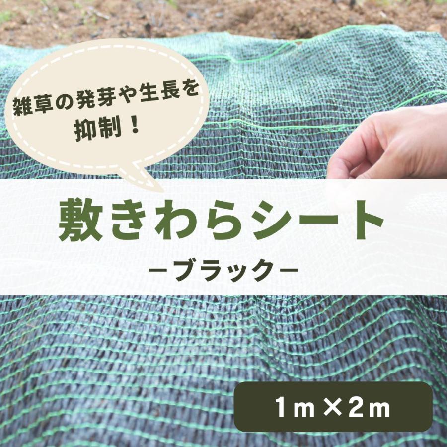 敷きわら 日本製 家庭菜園 敷きわらシート ブラック 1m×2ｍ 下敷き資材 軽量 遮光 防草効果 泥はね防止 病気対策 つる巻き促進  簡単設置 繰り返し使える | 