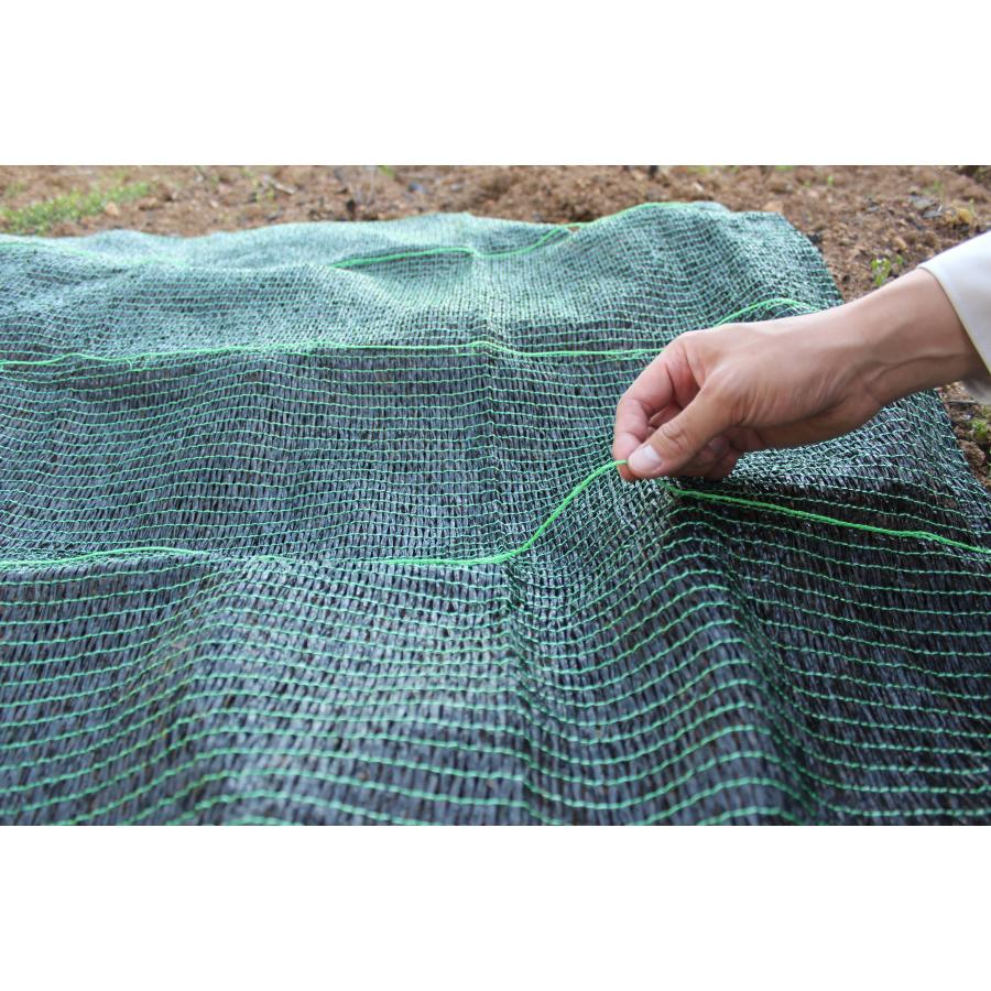 敷きわら 日本製 家庭菜園 敷きわらシート ブラック 1m×2ｍ 下敷き資材 軽量 遮光 防草効果 泥はね防止 病気対策 つる巻き促進  簡単設置 繰り返し使える |  | 01