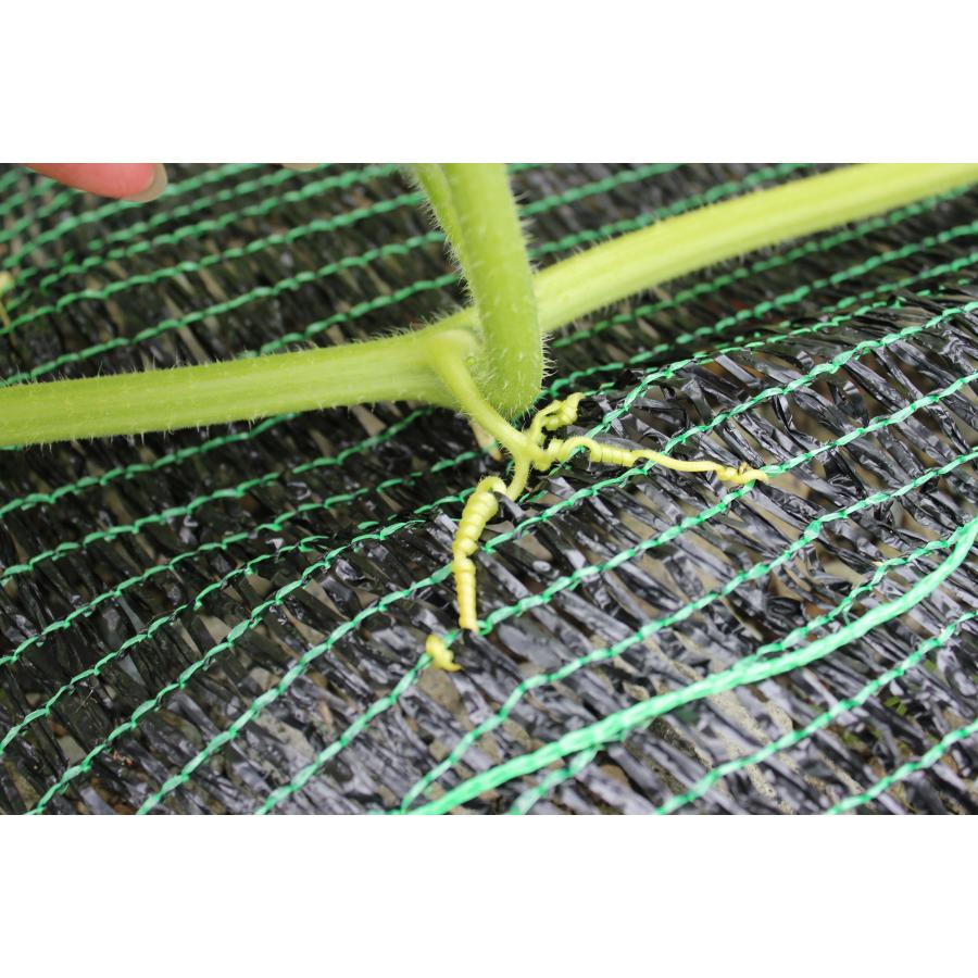 敷きわら 日本製 家庭菜園 敷きわらシート ブラック 1m×2ｍ 下敷き資材 軽量 遮光 防草効果 泥はね防止 病気対策 つる巻き促進  簡単設置 繰り返し使える |  | 02