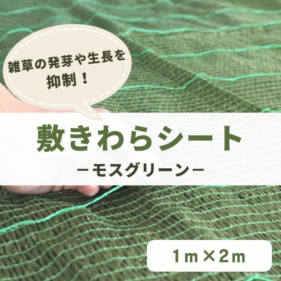 敷きわら 日本製 家庭菜園 敷きわらシート モスグリーン 1m×2ｍ 下敷き資材 軽量ネット 泥はね防止 病気対策 つる巻き促進  簡単設置 繰り返し使える | 