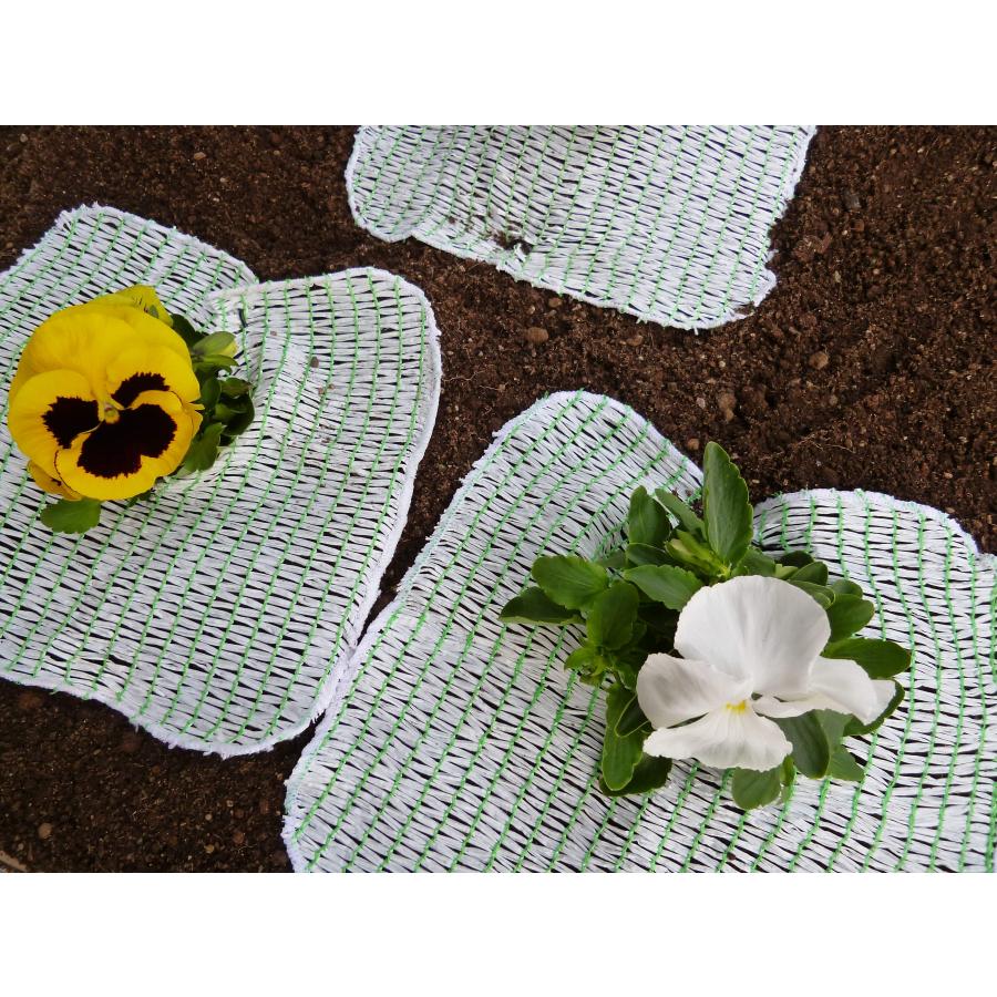 ひかるちゃんmini　5枚セット　25cm×25cm　日本製　生長促進シート　泥はね防止　虫よけ　ミニサイズ　光反射　イチゴ　バラ栽培　プランター　鉢 |  | 05