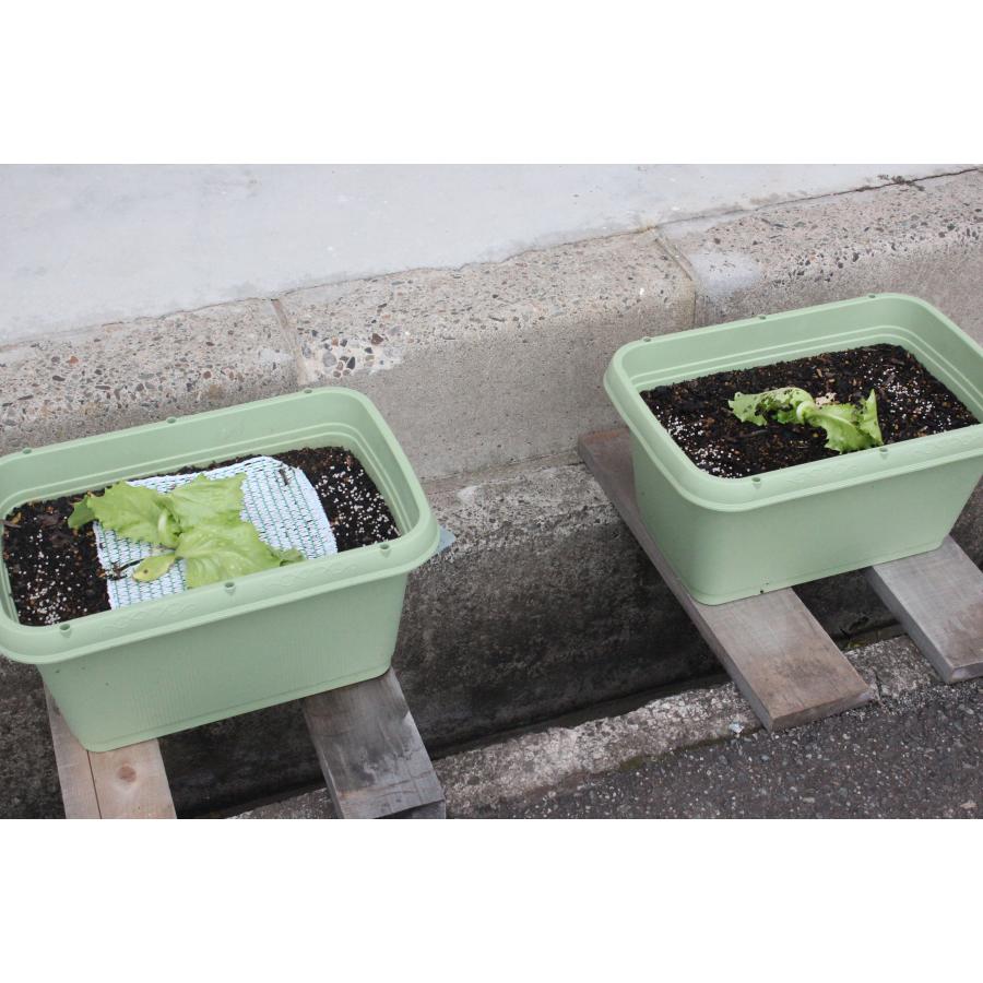 ひかるちゃんmini　5枚セット　25cm×25cm　日本製　生長促進シート　泥はね防止　虫よけ　ミニサイズ　光反射　イチゴ　バラ栽培　プランター　鉢 |  | 07