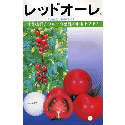 トマト カネコ交配 公式通販 レッドオーレ 公式通販 種のことならお任せグリーンデポ カネコの中玉トマトです