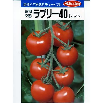 トマト　協和交配・・・ラブリー40・・・＜協和の中玉トマトです。　種のことならお任せグリーンデポ＞