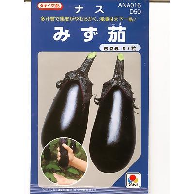 ナス タキイ交配・・・みず茄・・・＜タキイの水ナスです。種のこと