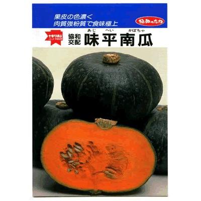 かぼちゃん様　ご確認用 カボチャ種 味平 みかど協和のカボチャ品種です。 種のことならお任せ