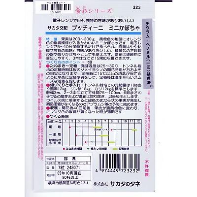 カボチャ　サカタ交配・・・プッチィーニ・・・＜サカタのミニカボチャです。　種のことならお任せグリーンデポ＞｜green-depo-1｜02