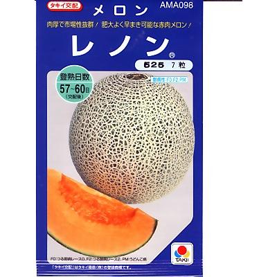 メロン種　タキイ交配・・・レノン・・・＜タキイ種苗のネットメロン品種です。　種のことならお任せグリーンデポ＞｜green-depo-1