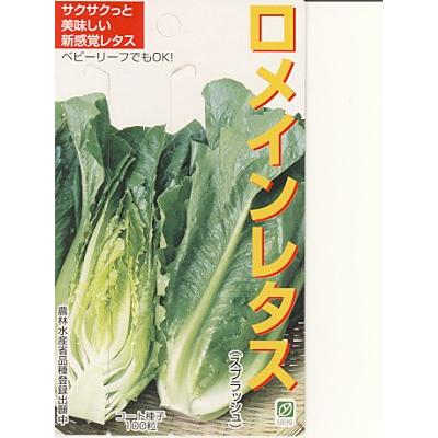 超大特価 レタス種 ウエキ ロメインレタス スプラッシュ ウエキのレタスです 種のことならお任せグリーンデポ